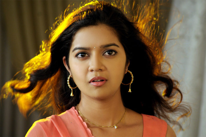 heroine swathi,telugu film industry,tripura movie,tamila,malayalam  హీరోయిన్ స్వాతి.. భేష్‌..!